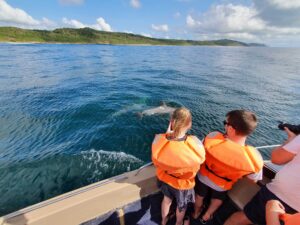 Marine Mammal Educational Dolphin Ocean Cruise